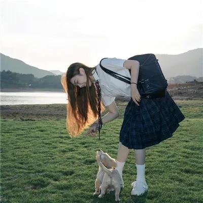 红海棠